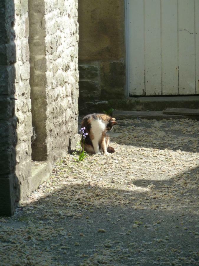 The Old Vicarage B&B Tideswell Bagian luar foto